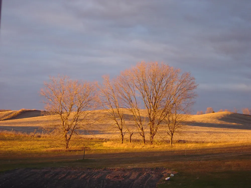 19800 Stephan Drive Starbuck, MN 56381