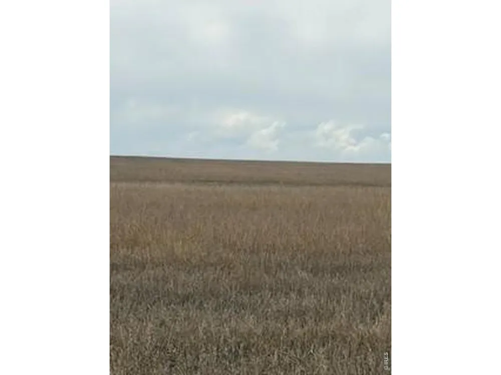 Peoria Crossing Road Wiggins, CO 80654
