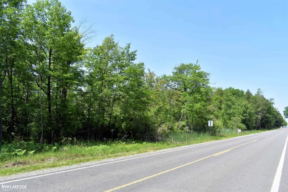 Oak Beach Road Lake Township, MI 48467