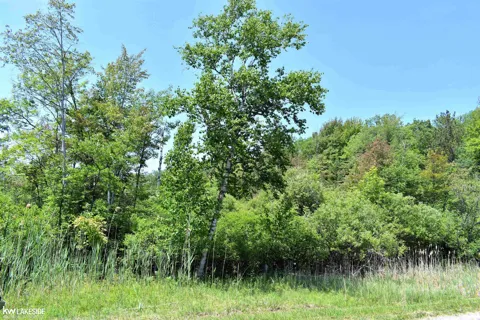 Oak Beach Road