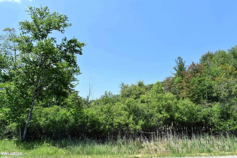 Oak Beach Road Lake Township, MI 48467