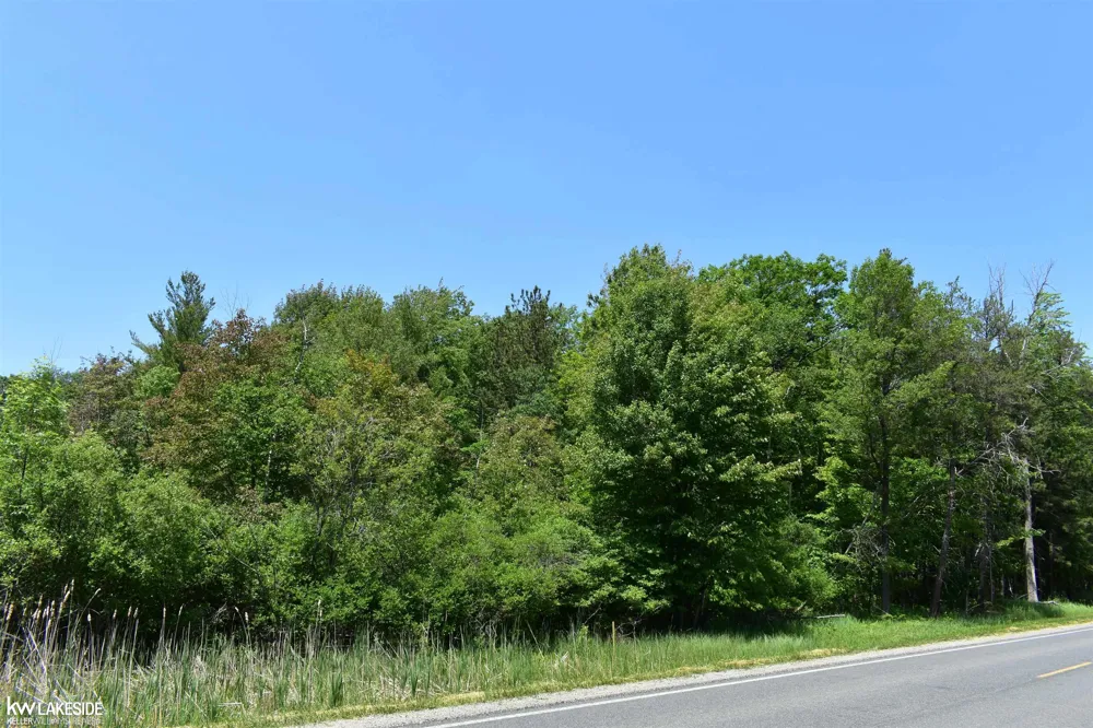 Oak Beach Road Lake Township, MI 48467