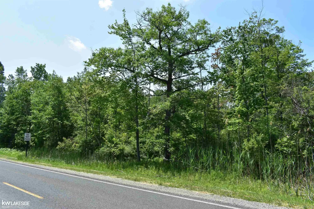 Oak Beach Road Lake Township, MI 48467
