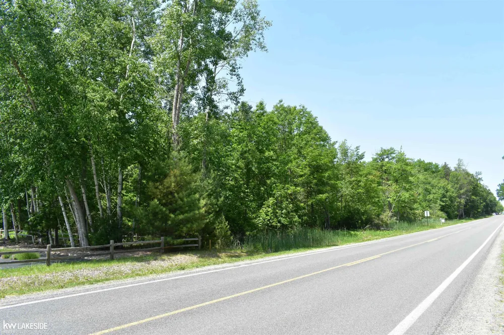 Oak Beach Road Lake Township, MI 48467