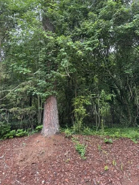 0 Lewis Drive Lavonia, GA 30553