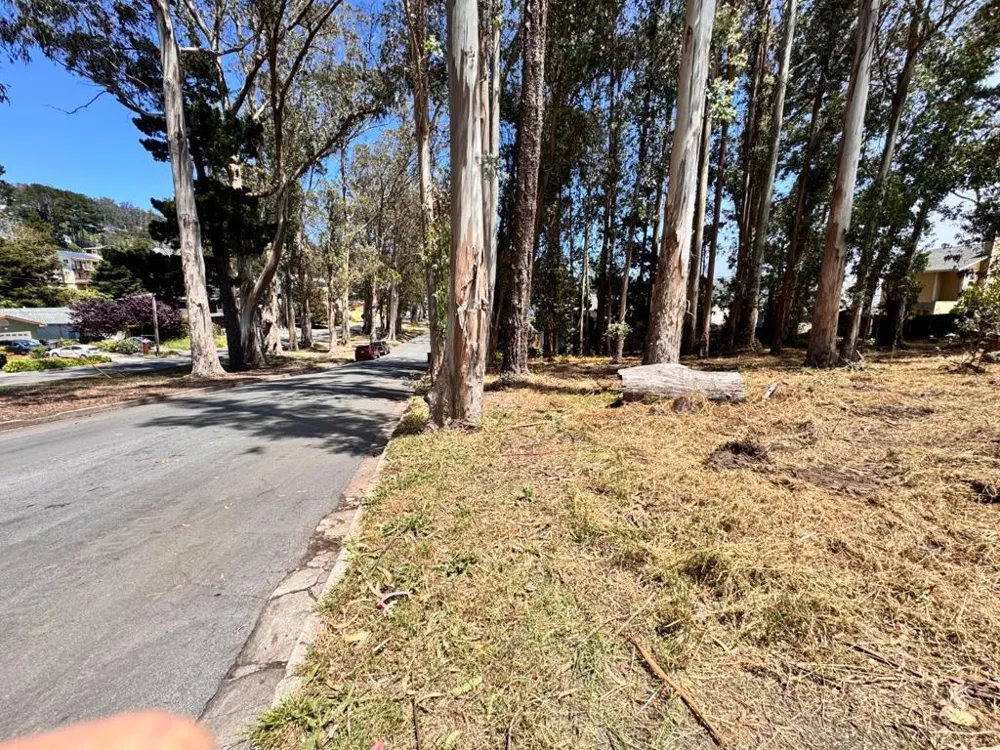 422 The Alameda El Granada, CA 94018