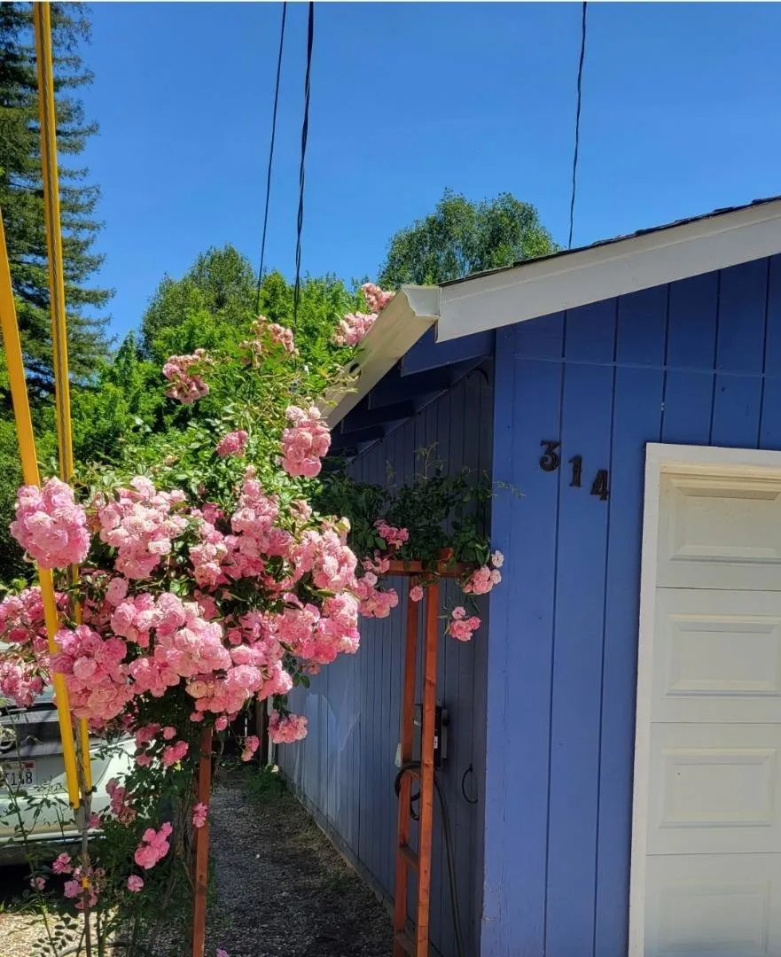 314 Riverside Park Drive Ben Lomond, CA 95005