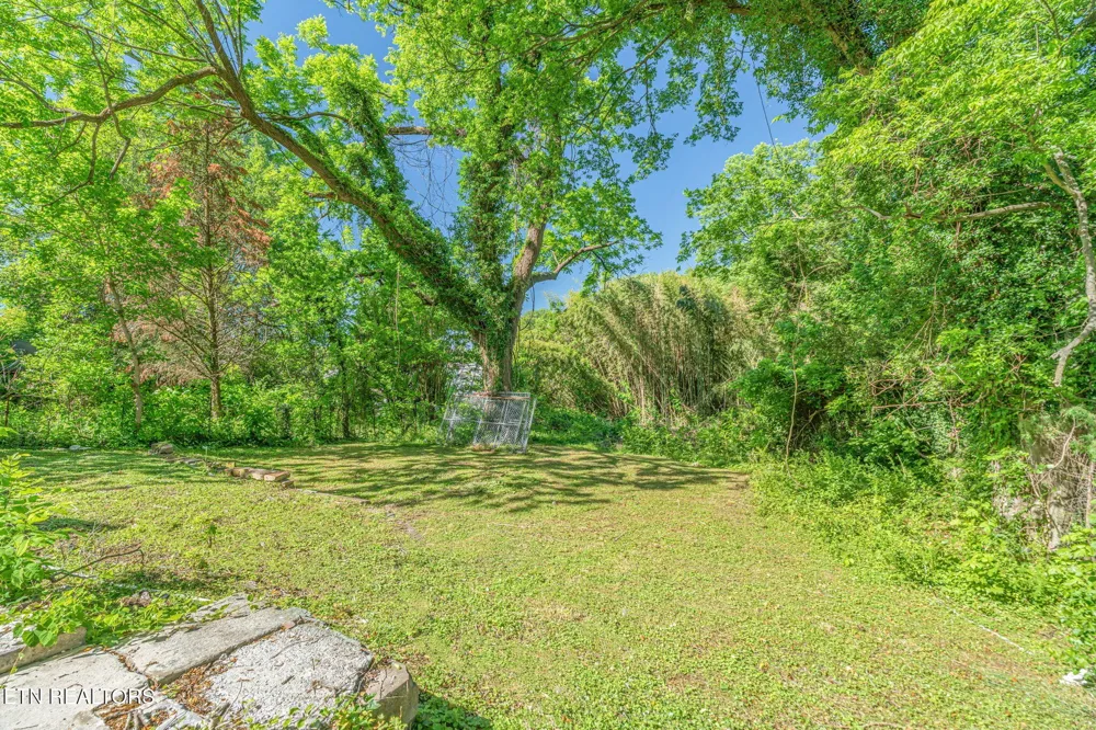 419 W Rockwood St Rockwood, TN 37854