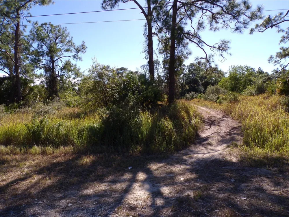 763 LONGBOW LANE Lehigh Acres, FL 33972