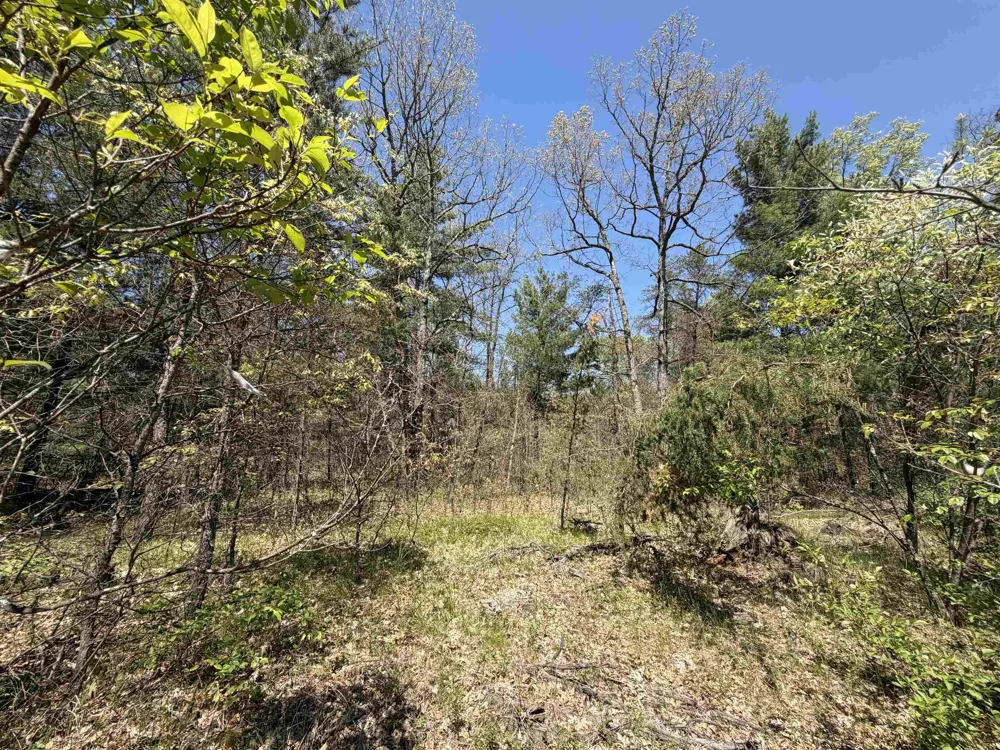US-10 Cherry Valley Township, MI 49642