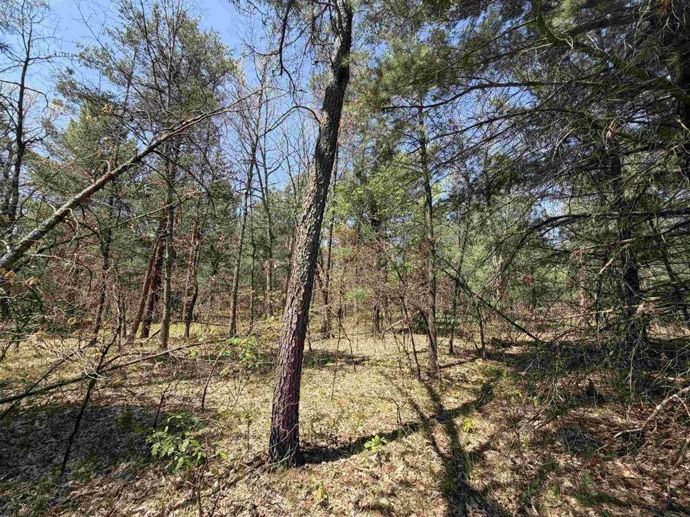 US-10 Cherry Valley Township, MI 49642
