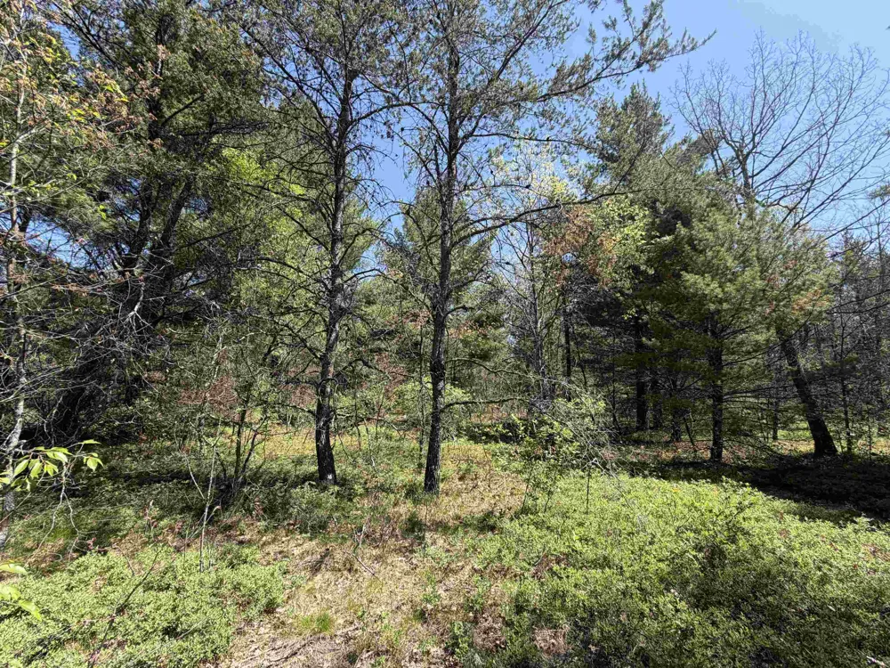US-10 Cherry Valley Township, MI 49642