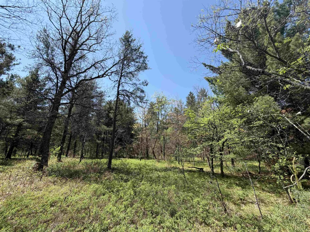 US-10 Cherry Valley Township, MI 49642