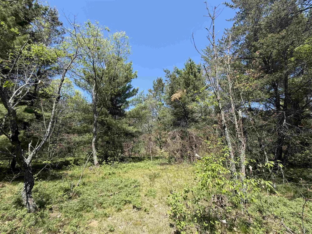 US-10 Cherry Valley Township, MI 49642