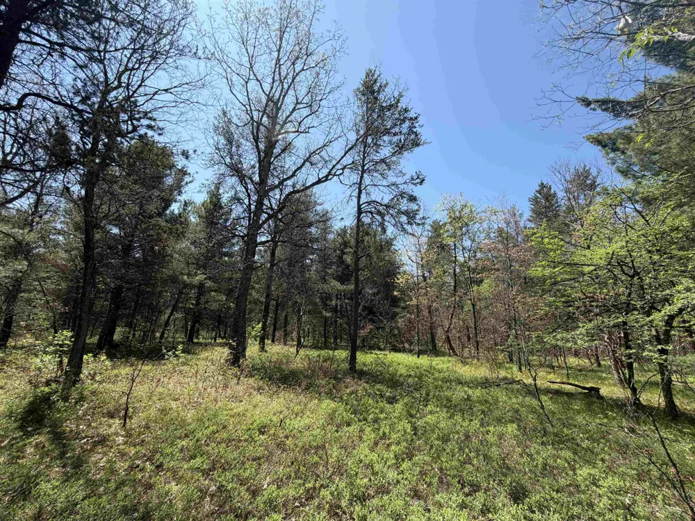 US-10 Cherry Valley Township, MI 49642