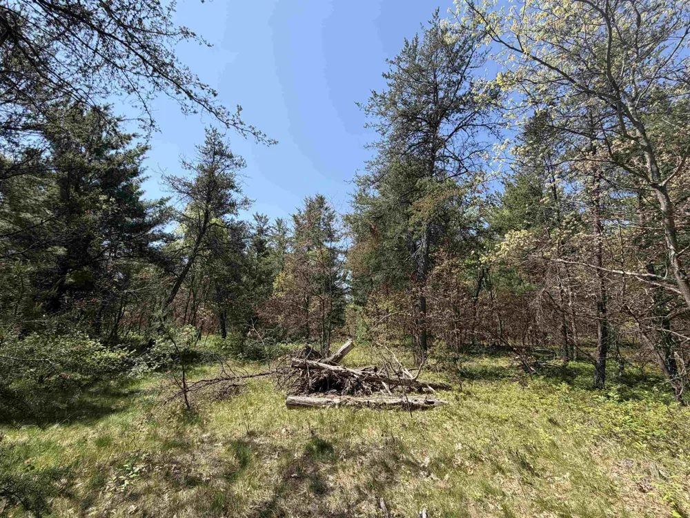 US-10 Cherry Valley Township, MI 49642