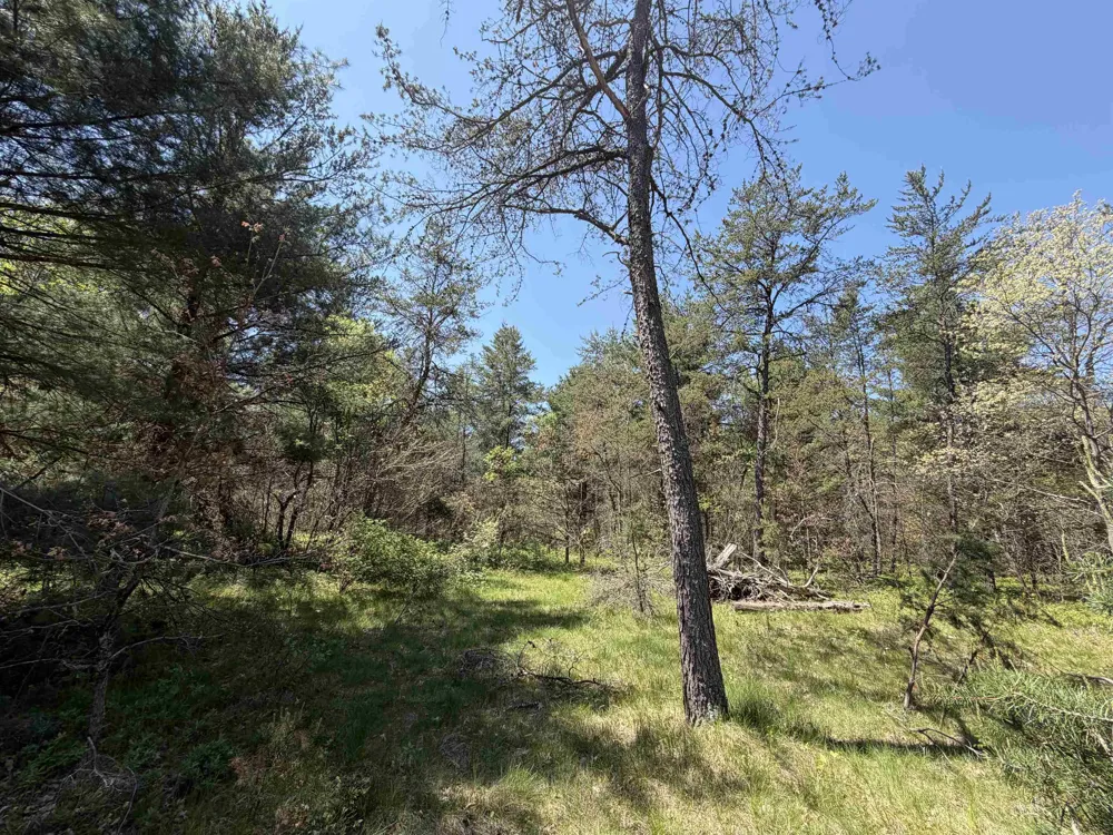 US-10 Cherry Valley Township, MI 49642