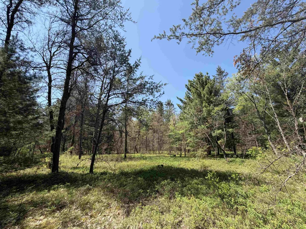 US-10 Cherry Valley Township, MI 49642