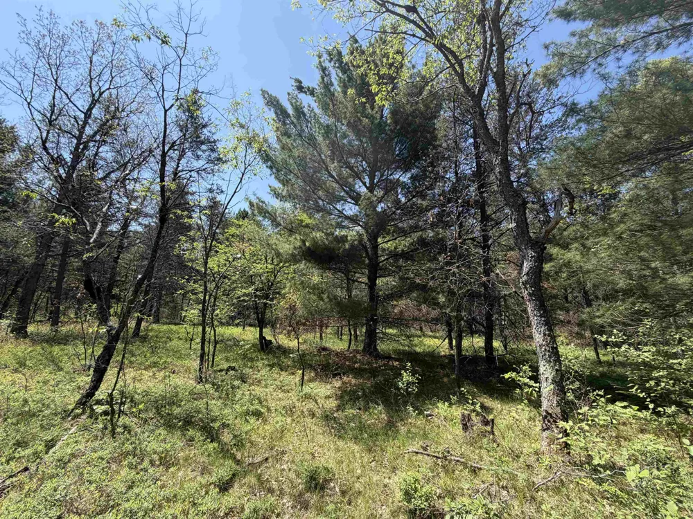 US-10 Cherry Valley Township, MI 49642