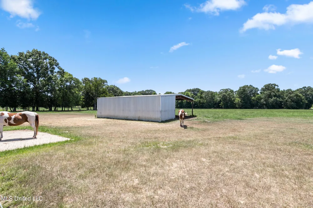 3148 Volley Campbell Road Terry, MS 39170