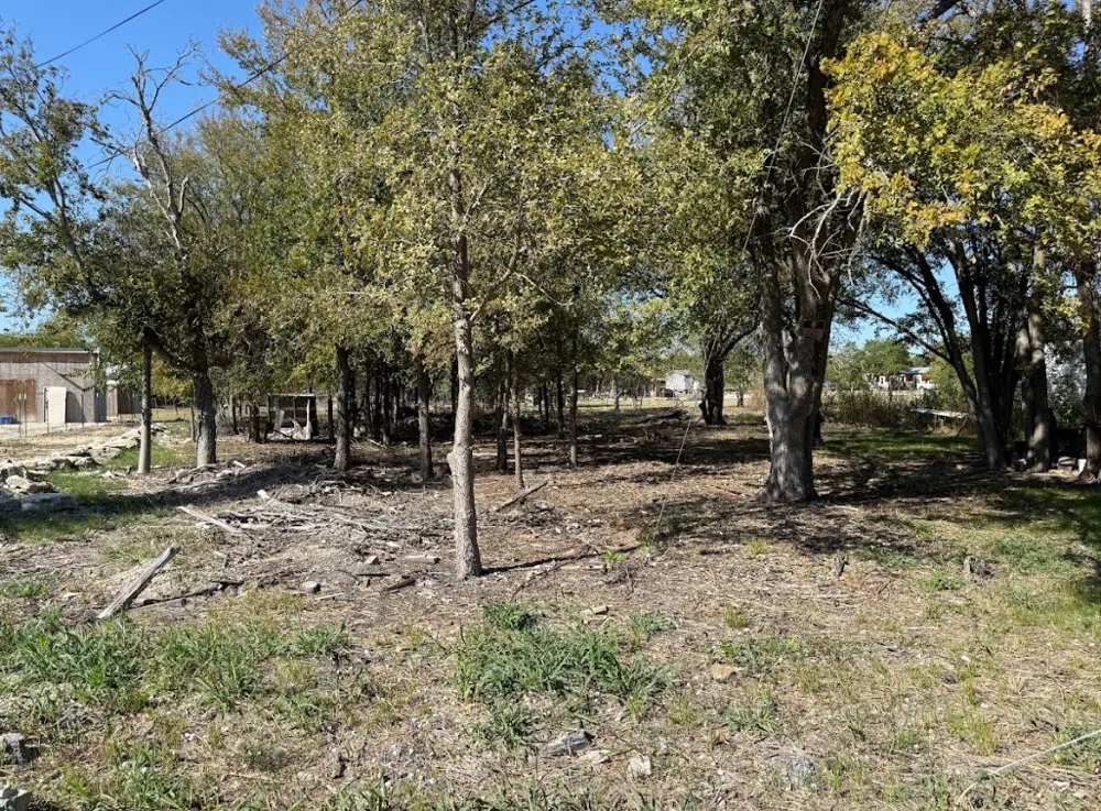 699 S Cotrell Street Bartlett, TX 76511
