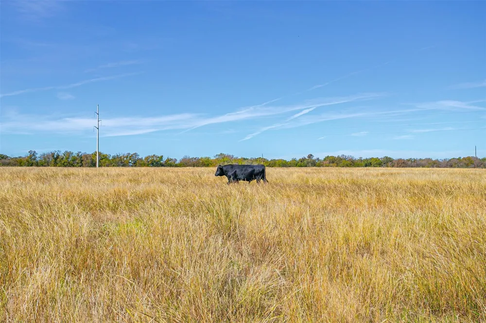 County Road 410 Road Alvarado, TX 76009