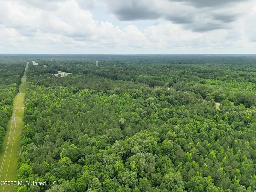U.s. 49 Braxton, MS 39044