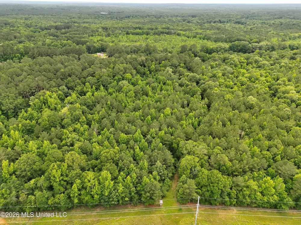 U.s. 49 Braxton, MS 39044