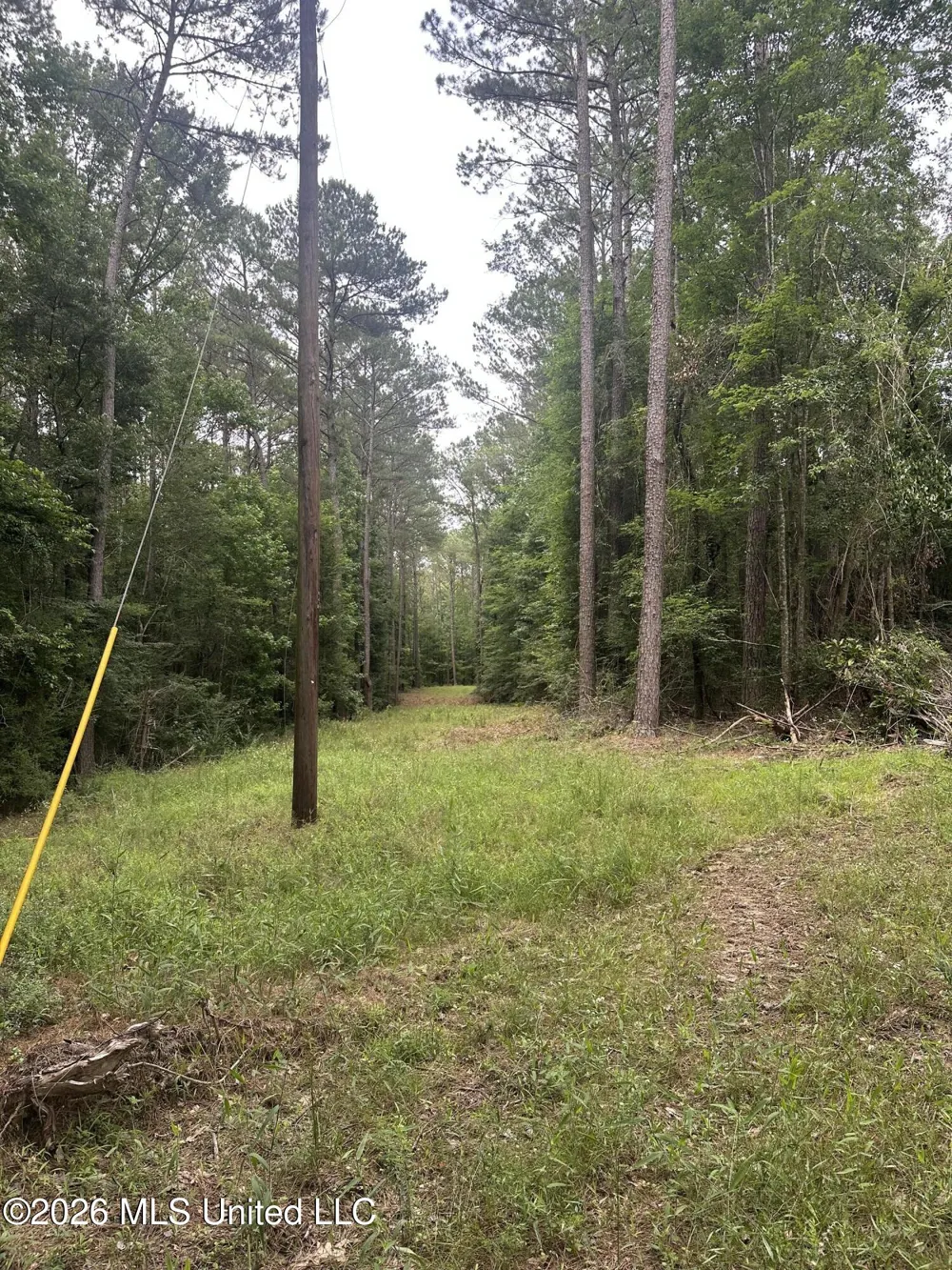 U.s. 49 Braxton, MS 39044