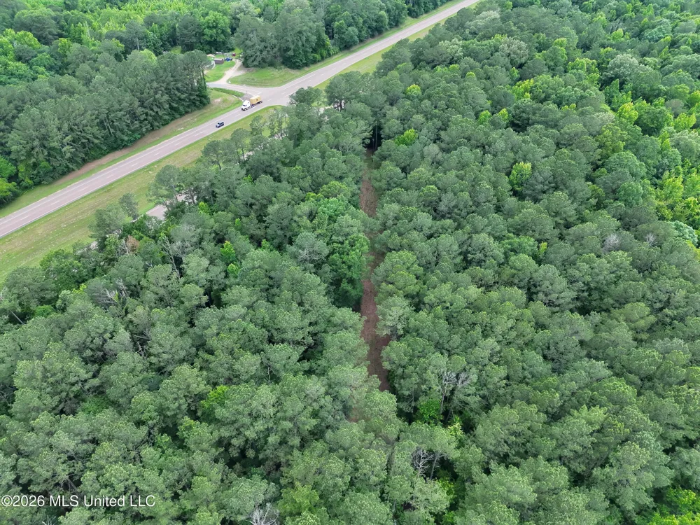 U.s. 49 Braxton, MS 39044