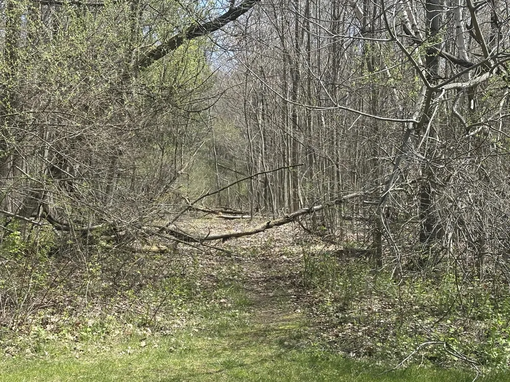 Atkins Road Clyde, MI 48049