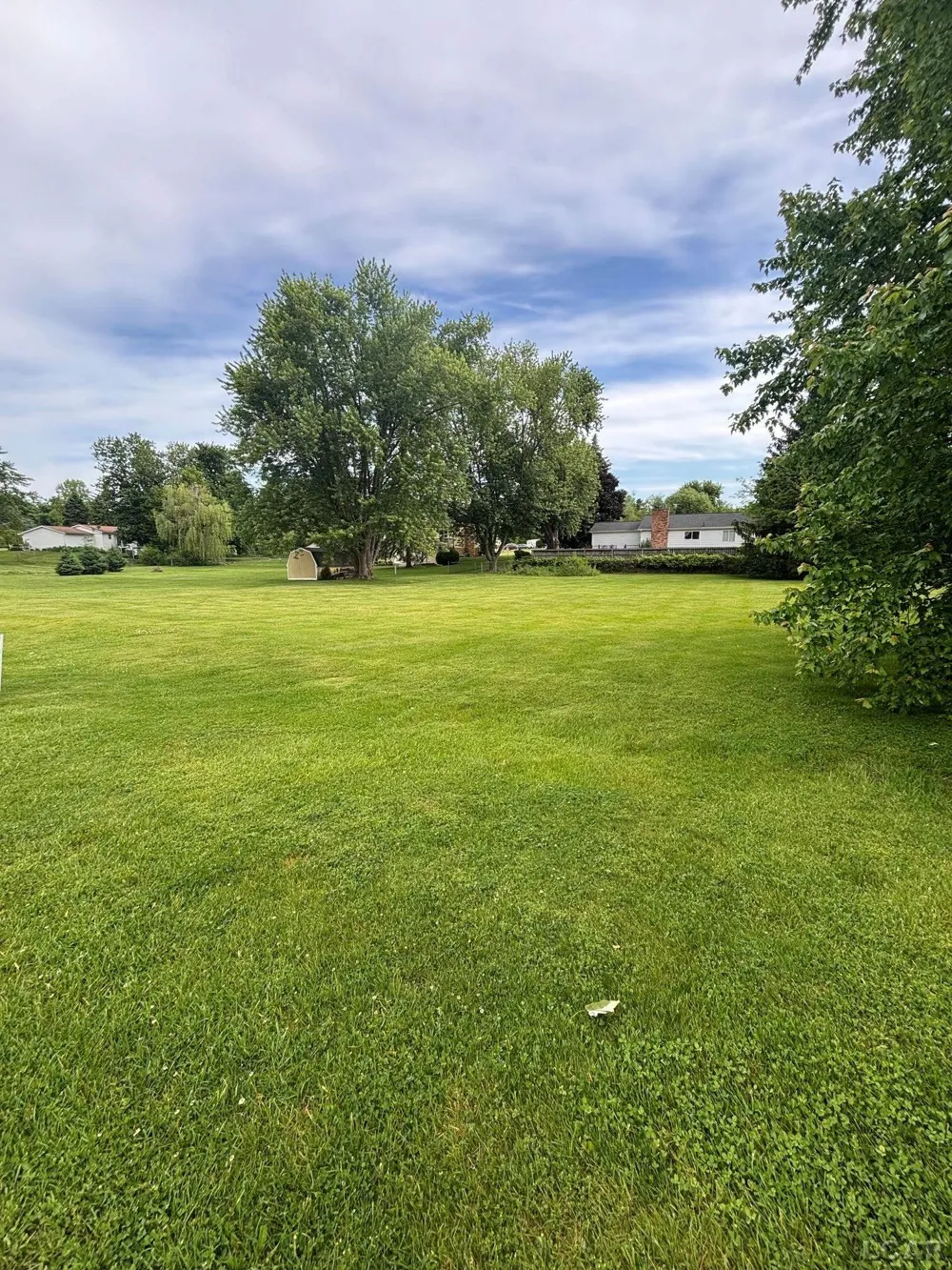 Skylark Drive Napoleon Township, MI 49201