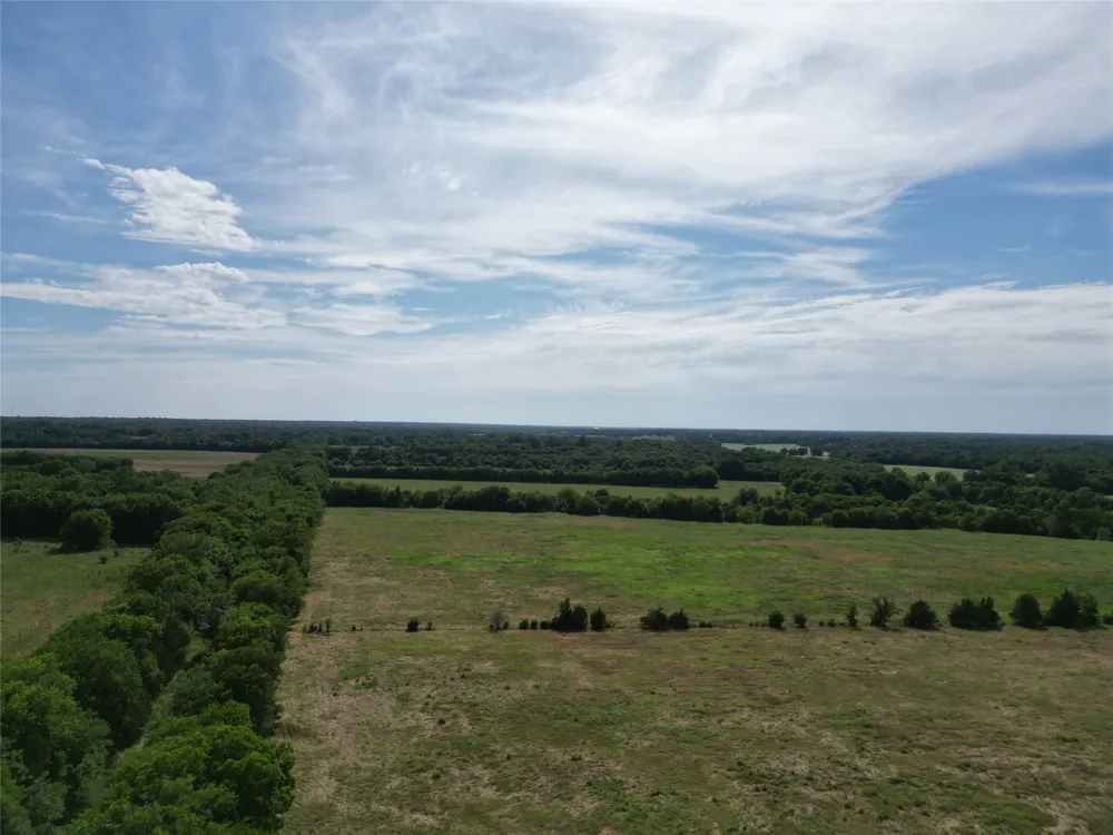 57 CR 3505 Pecan Gap, TX 75469
