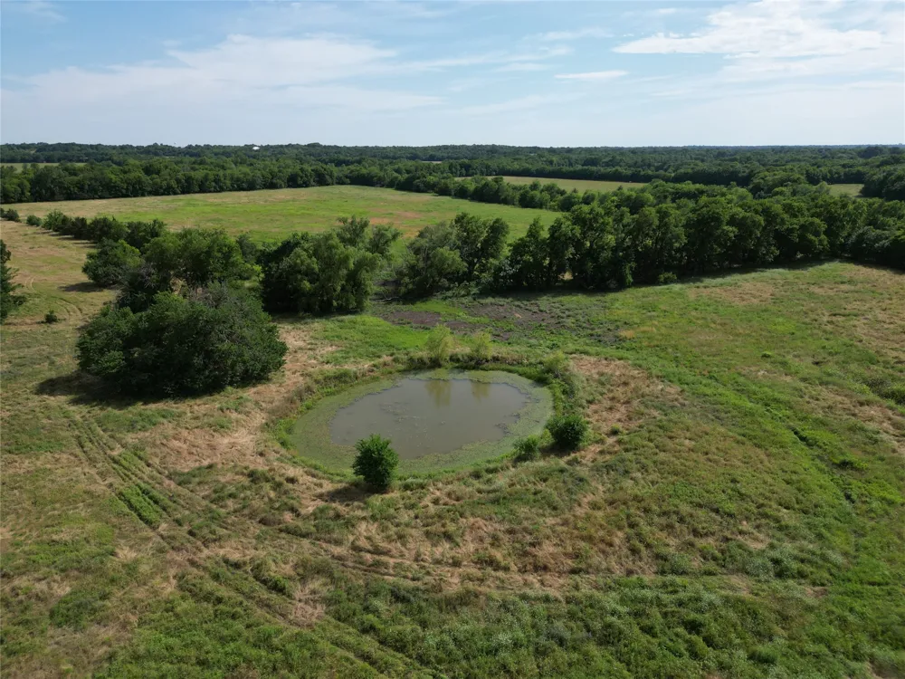 57 CR 3505 Pecan Gap, TX 75469