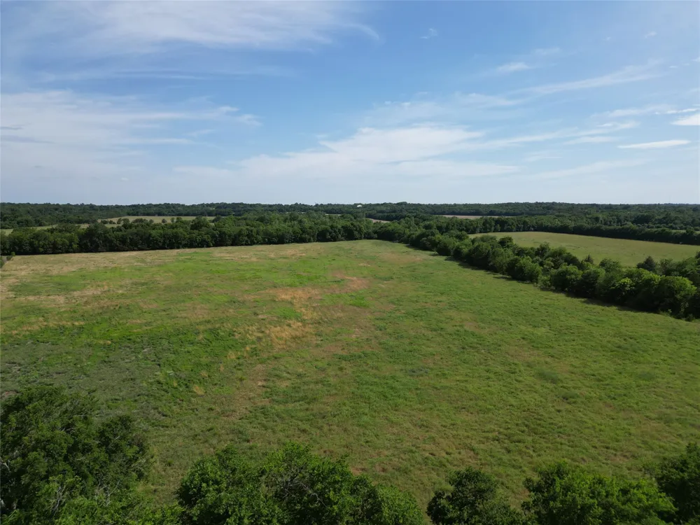 57 CR 3505 Pecan Gap, TX 75469