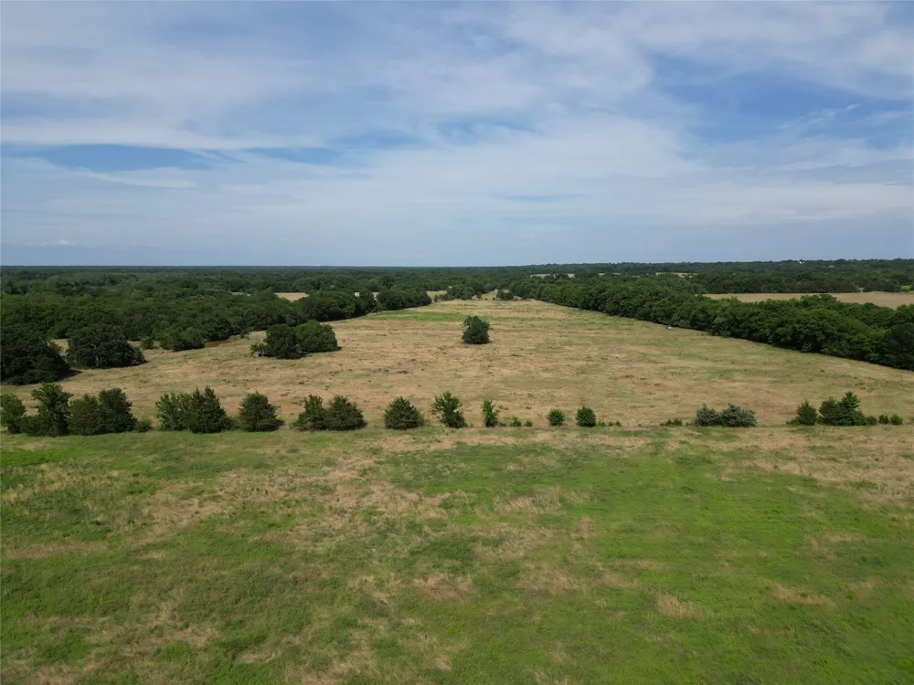 57 CR 3505 Pecan Gap, TX 75469