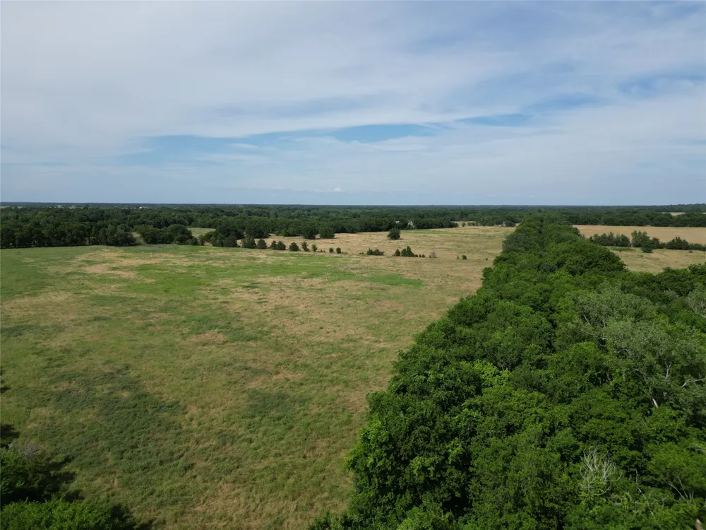 57 CR 3505 Pecan Gap, TX 75469
