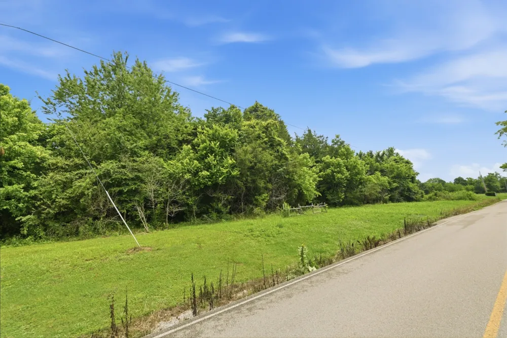 0 Joe Peay Rd Spring Hill, TN 37174