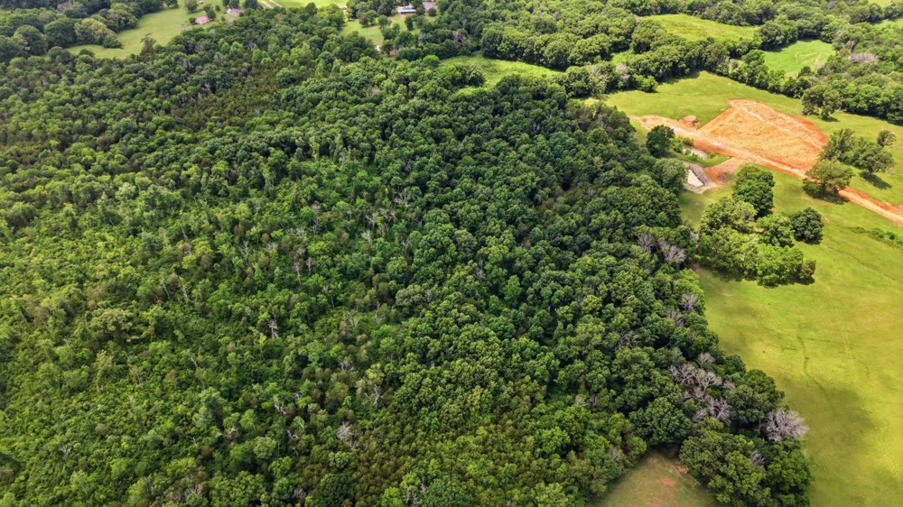 0 Joe Peay Rd Spring Hill, TN 37174