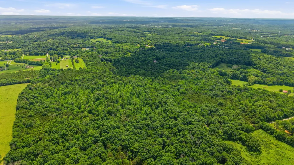 0 Joe Peay Rd Spring Hill, TN 37174