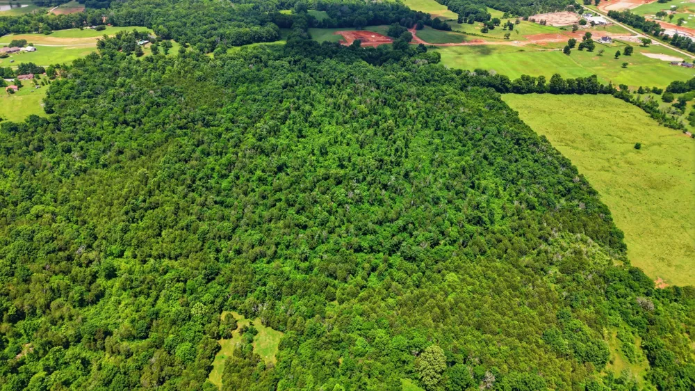 0 Joe Peay Rd Spring Hill, TN 37174