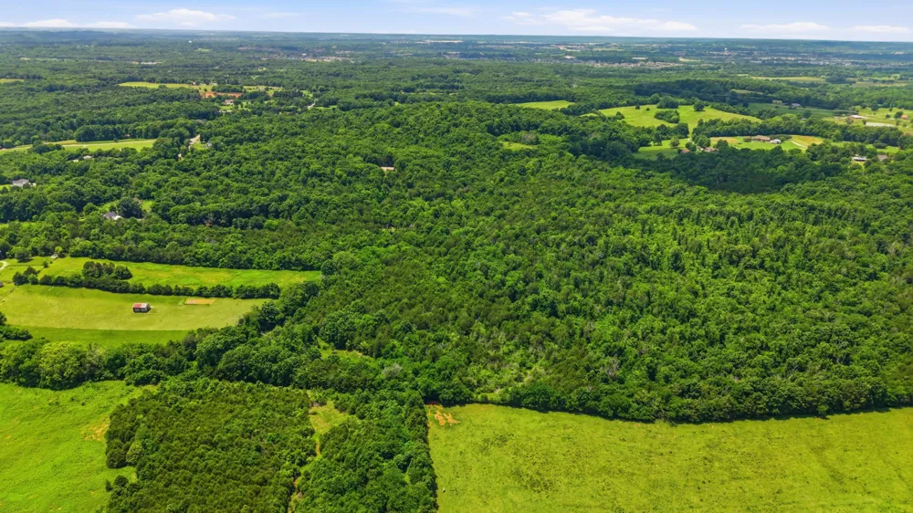 0 Joe Peay Rd Spring Hill, TN 37174
