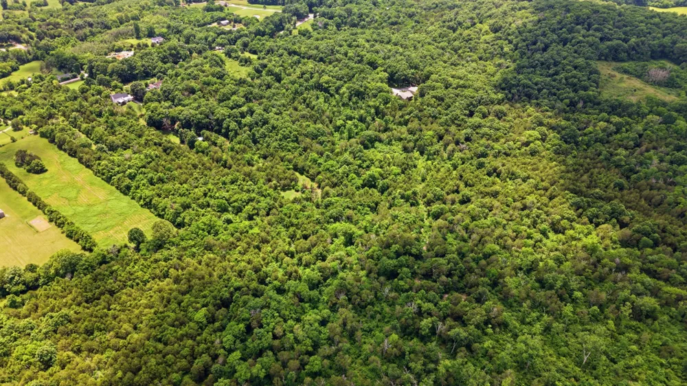 0 Joe Peay Rd Spring Hill, TN 37174