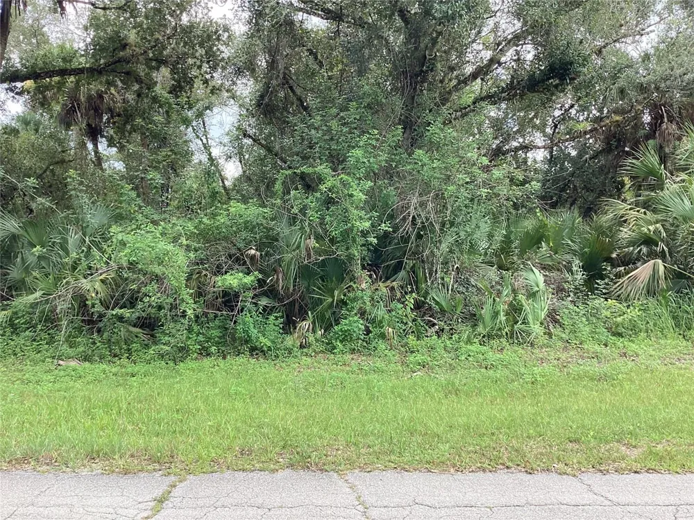 MARCH LANE Labelle, FL 33935