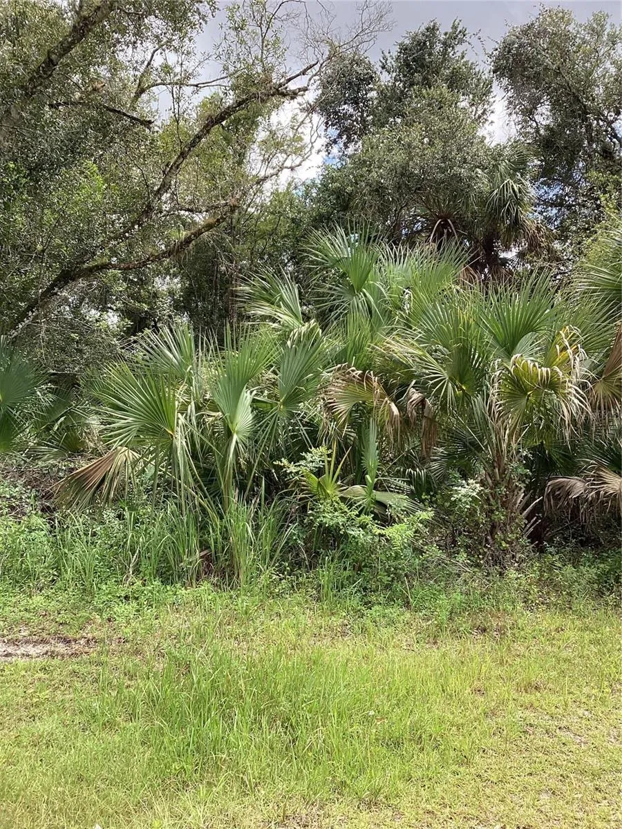 MARCH LANE Labelle, FL 33935