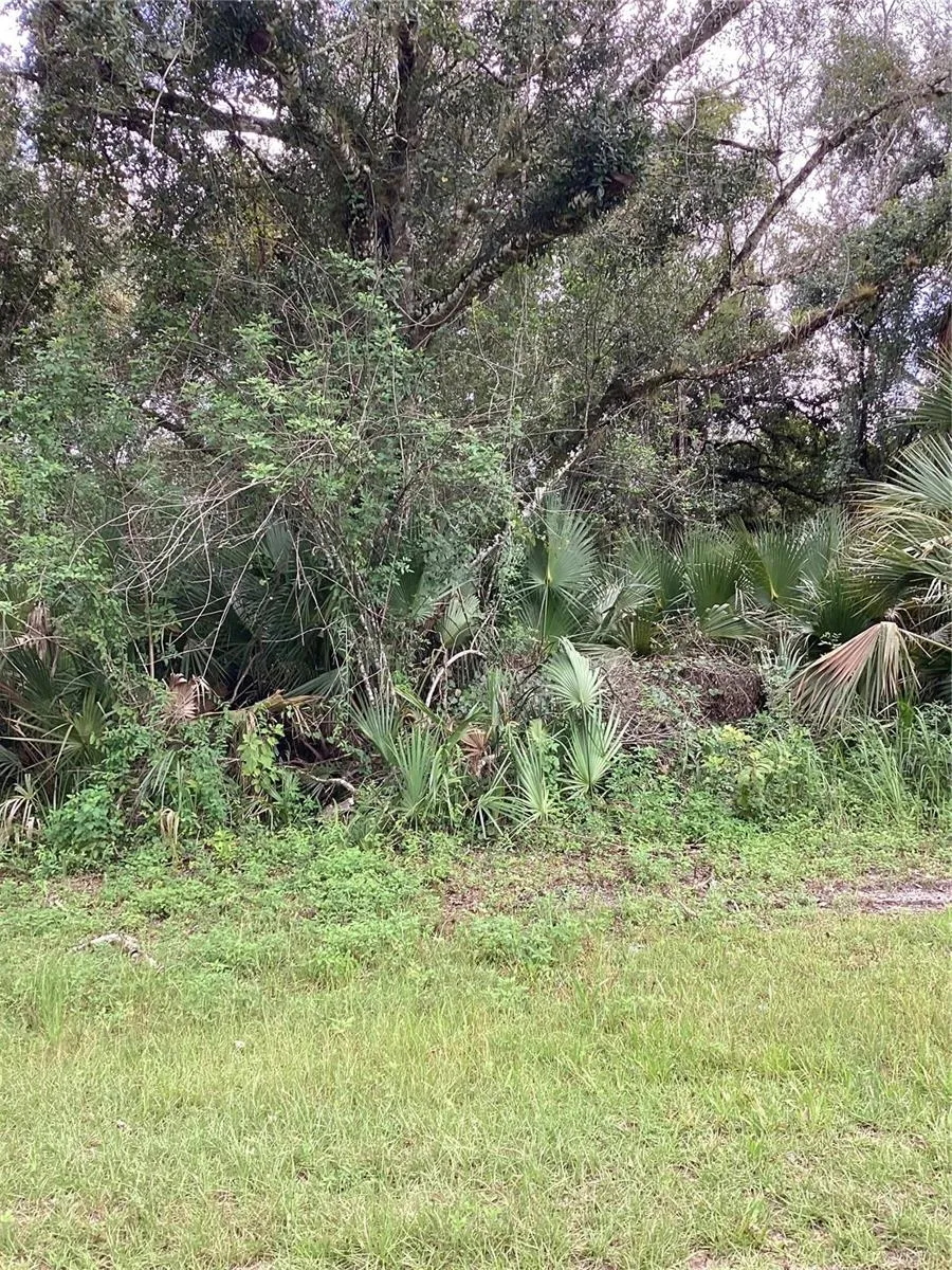 MARCH LANE Labelle, FL 33935