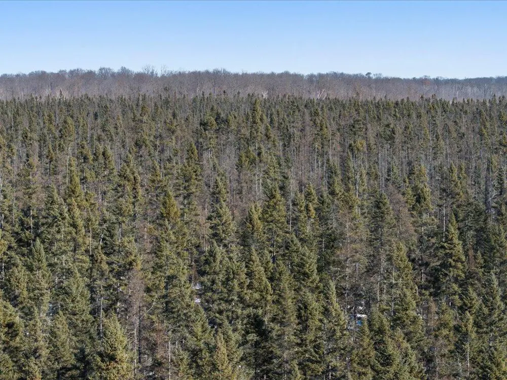 TBD 30th Ave Isle, MN 56342
