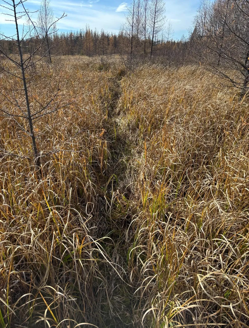 TBD 30th Ave Isle, MN 56342