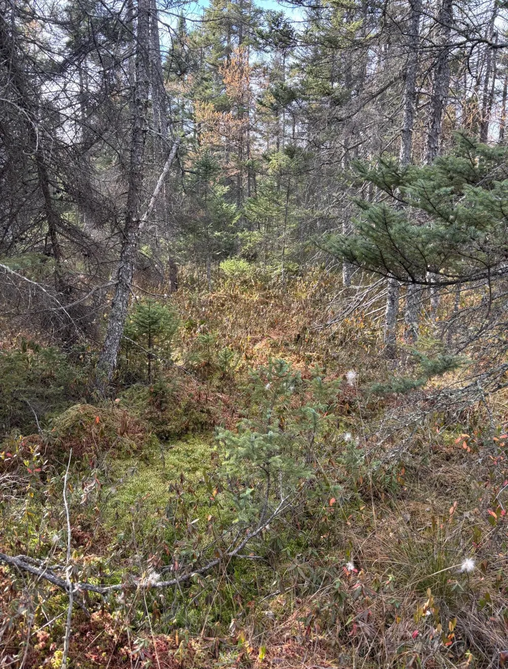 TBD 30th Ave Isle, MN 56342