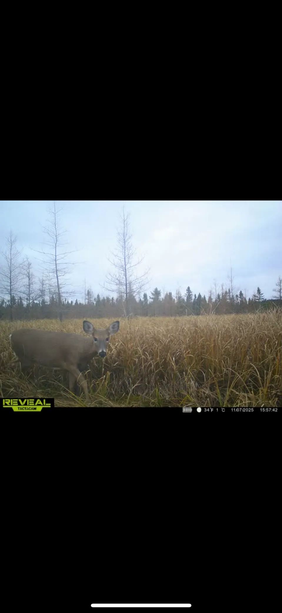 TBD 30th Ave Isle, MN 56342